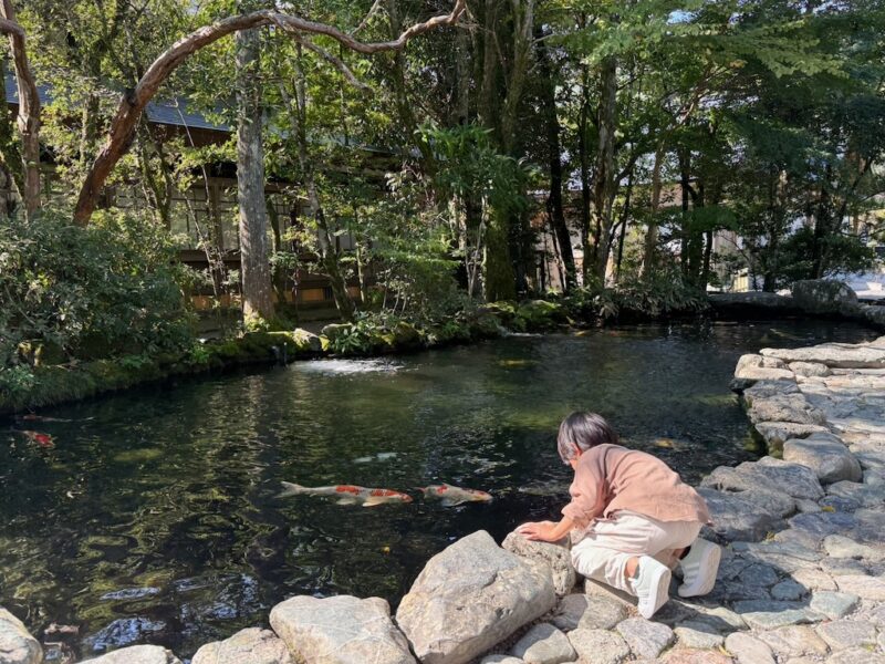 iPhone 16 Pro Maxで撮影した作例（全体にピントが合った描写）