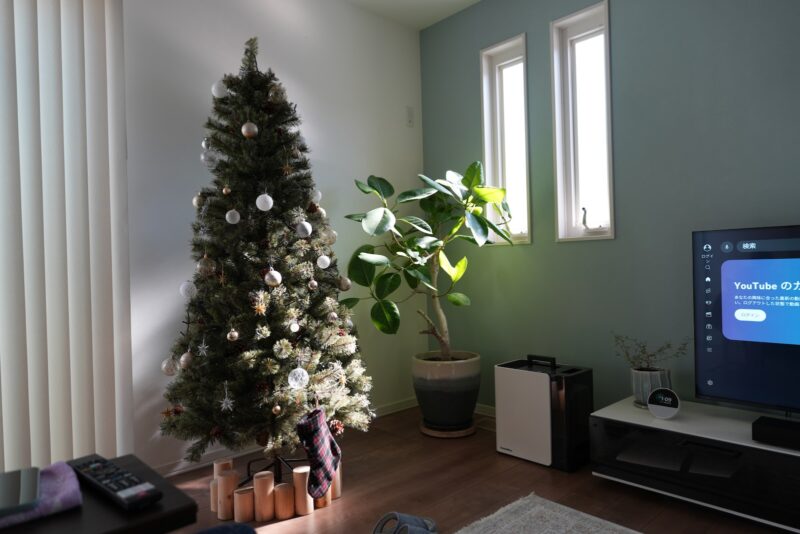 α7C IIで撮影したリビングのクリスマスツリー。窓からの光と葉の質感が鮮明。